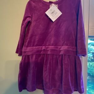 Hanna Andersson velvet dress size 90/3T NWT